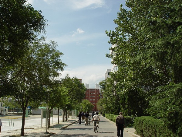 晉安路校區校內道路